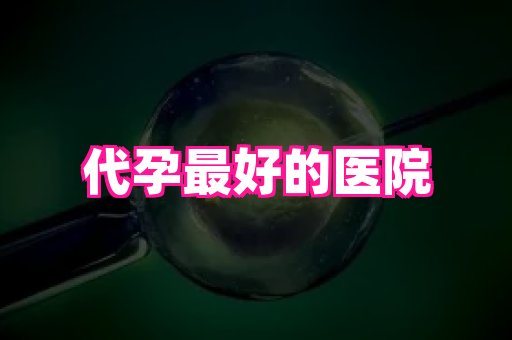 61助孕网 3